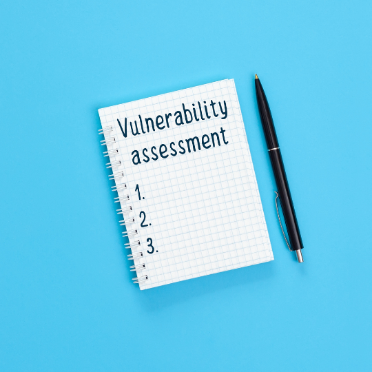 Vulnerability Assessment and Auditing NewGig Secure Solutions